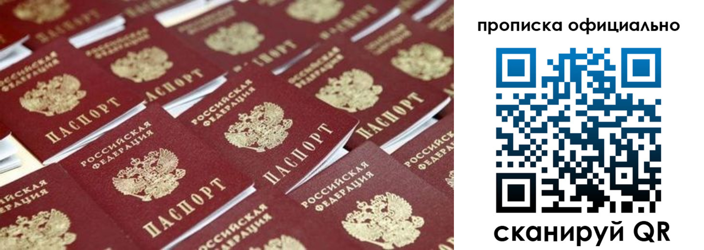 прописка гарантия в Купино